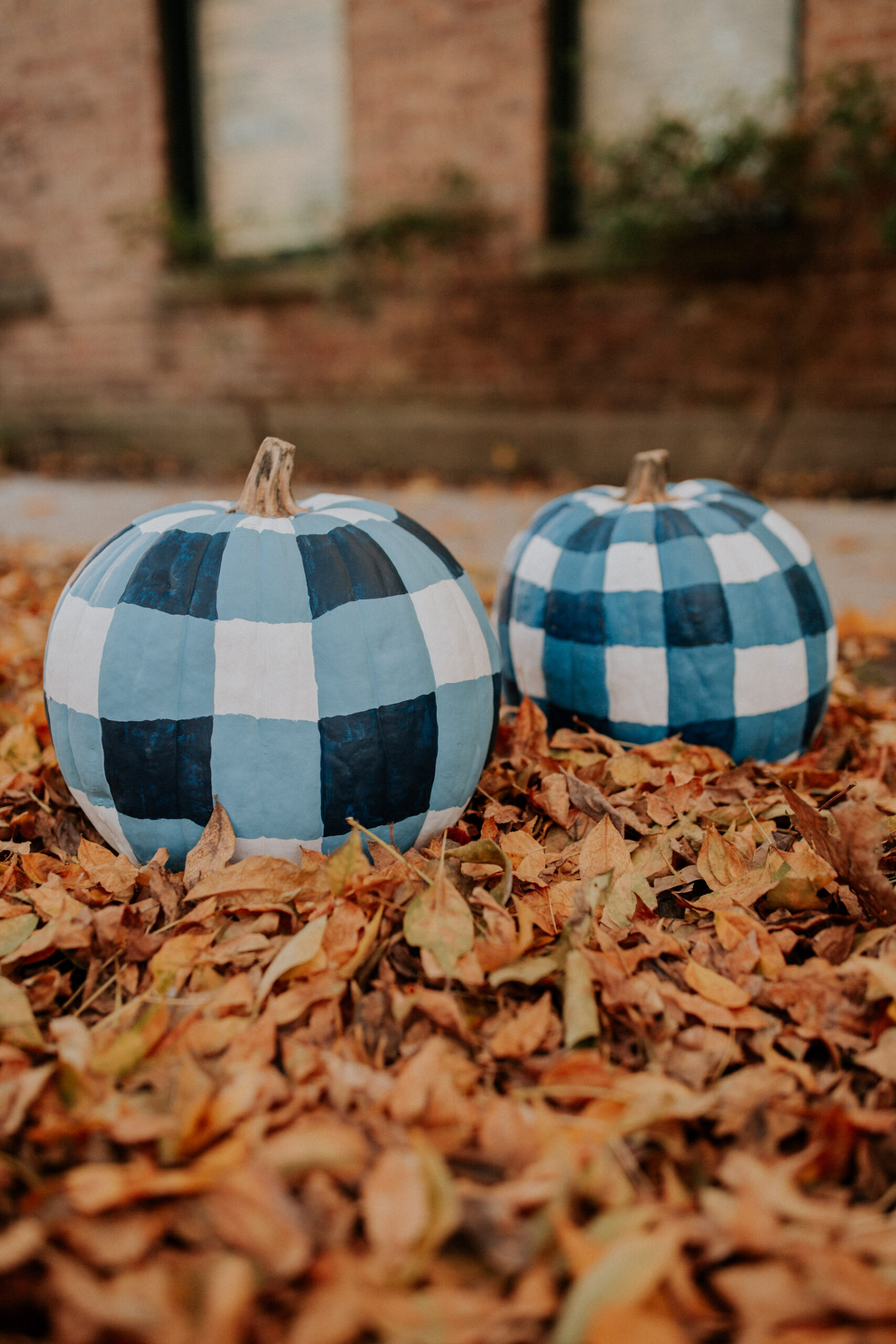 pumpkin painting idea checked blue and white pumpkin